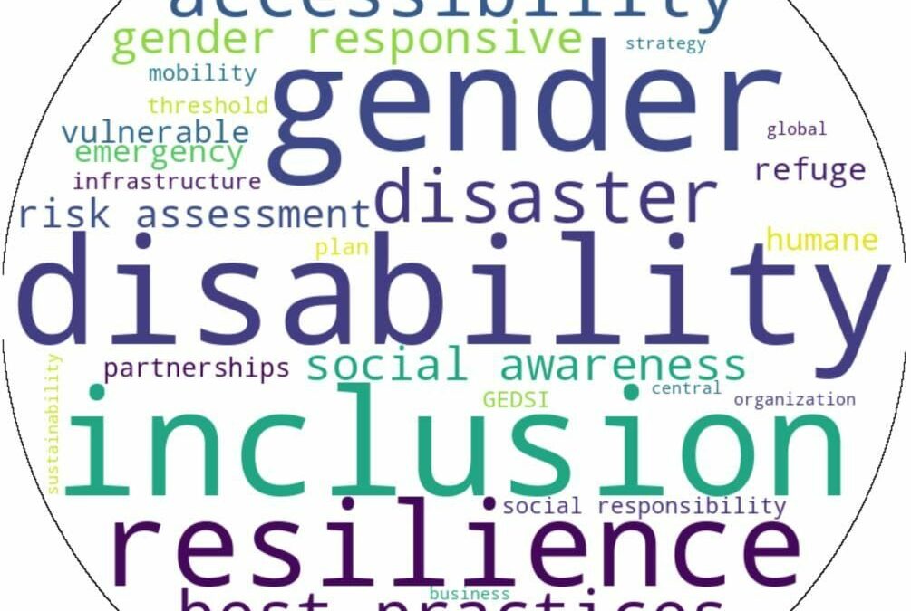 Building Truly Resilient Systems: Integrating Gender Equality, Disability, and Social Inclusion (GEDSI) into Disaster Resilience